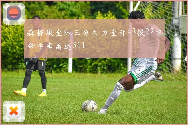 森林狼全队三分火力全开43投22中命中率高达511