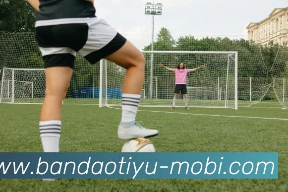 App Interface Preview